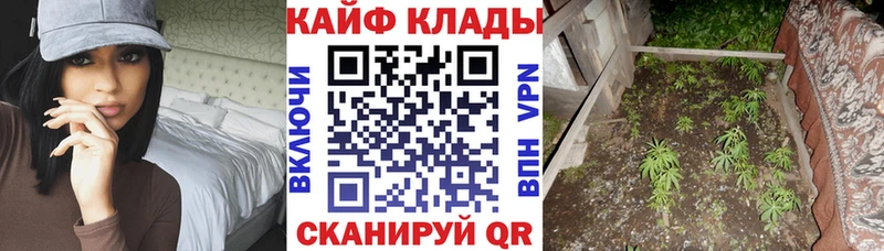 Где купить Карачаевск ГАШИШ  COCAIN  Меф  KRAKEN ONION  Марихуана  A PVP  Галлюциногенные грибы 