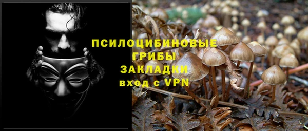 гидропоника Арсеньев