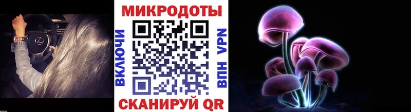 как найти закладки  kraken ССЫЛКА  Псилоцибиновые грибы Psilocybe  Карачаевск 
