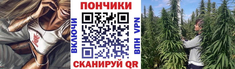 нарко площадка Telegram  Карачаевск  Бошки Шишки SATIVA & INDICA 
